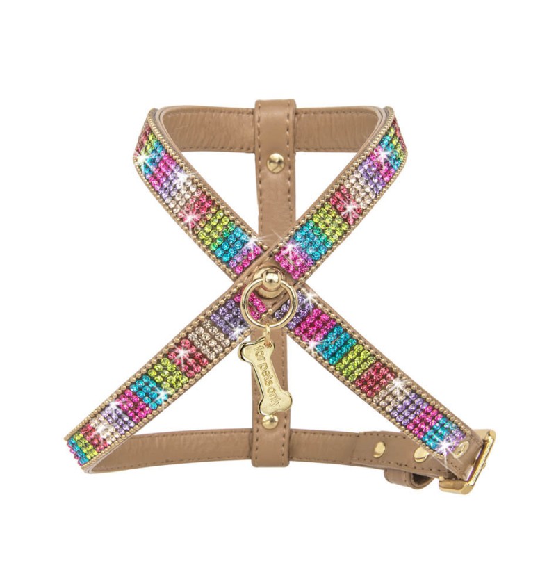 Rainbow Mini Jewel Harness Camel