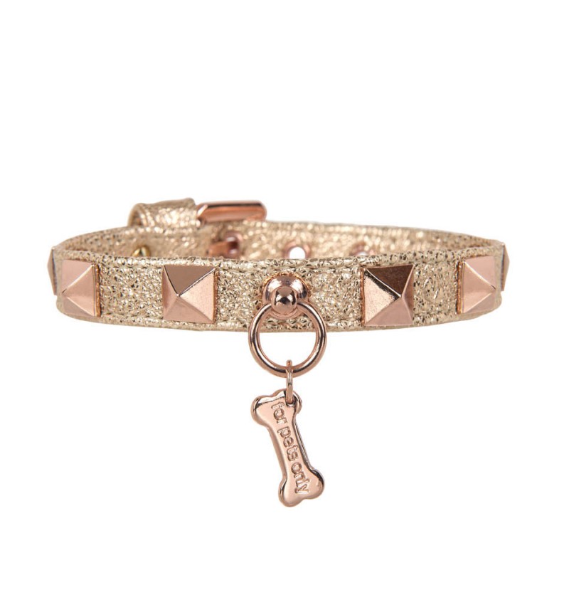 Rose Gold Chic and Stud Collar