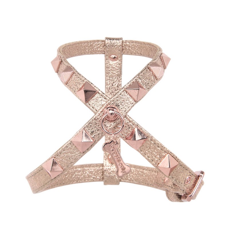 Rose Gold Chic And Stud Harness