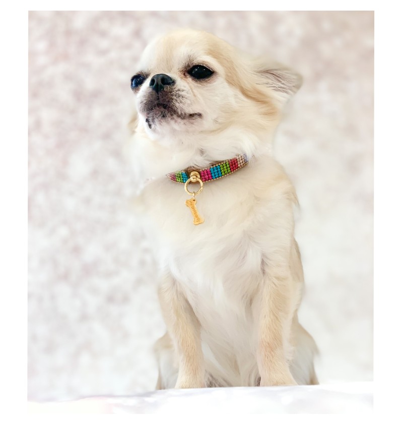 Rainbow Mini Jewel Collar