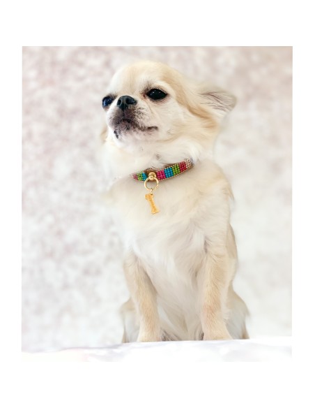 Rainbow Mini Jewel Collar