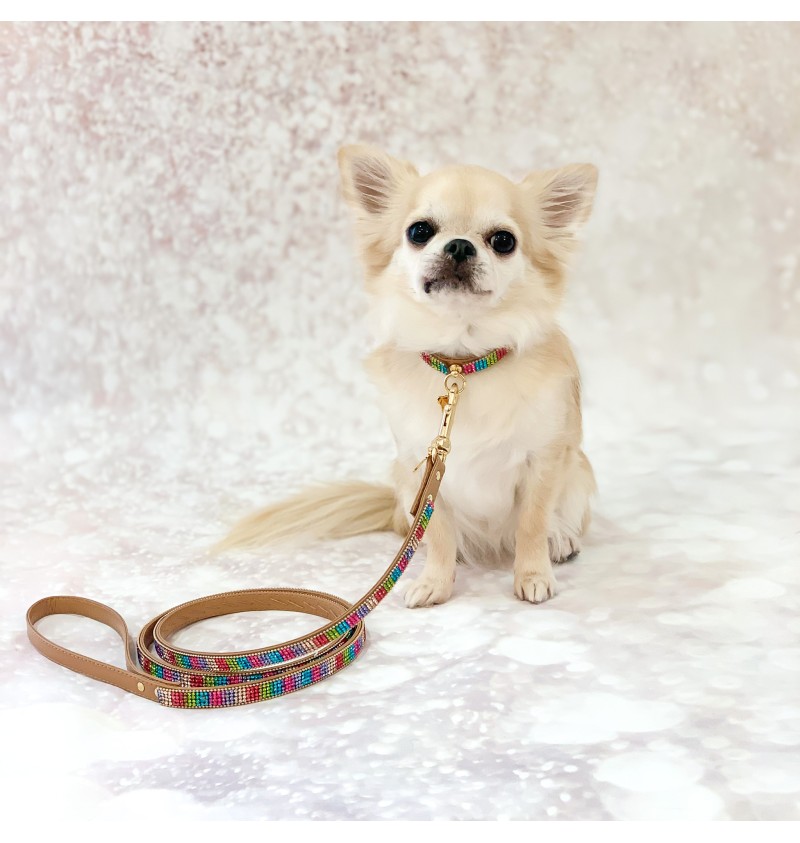 Rainbow Mini Jewel Collar