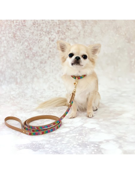 Rainbow Mini Jewel Collar