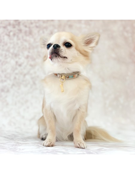 Desert Mini Jewel Collar