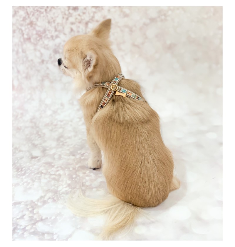 Desert Dream Mini Jewel Harness