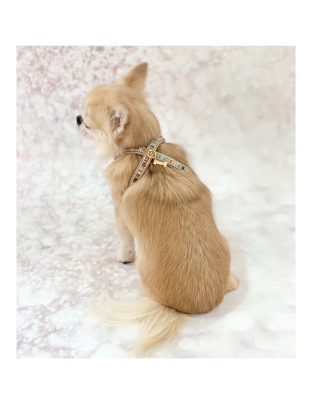 Desert Dream Mini Jewel Harness