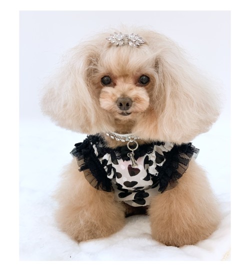 Zircon Beauty Silver Hairclip 2