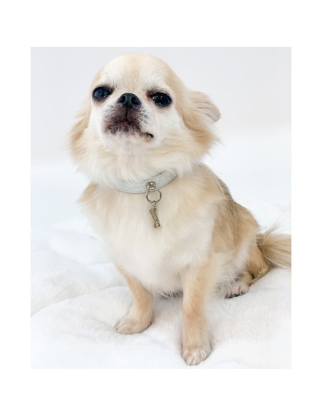 Plain Metal Silver Collar