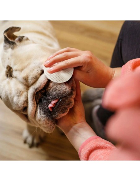 Eye Envy Bulldog Wipes 60 pz