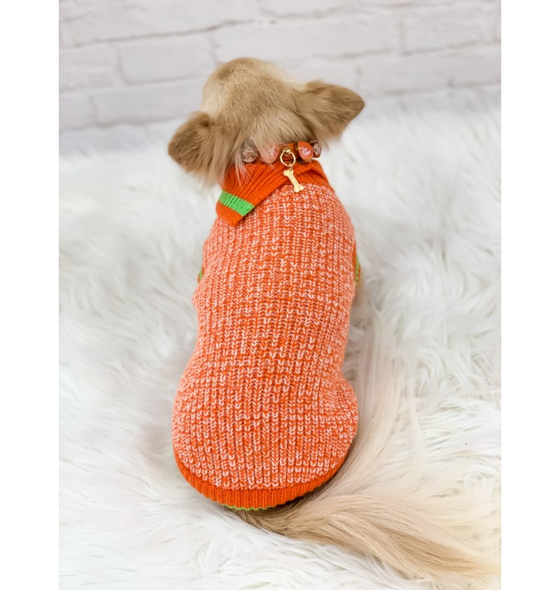 Sporty and Cool Pull Orange