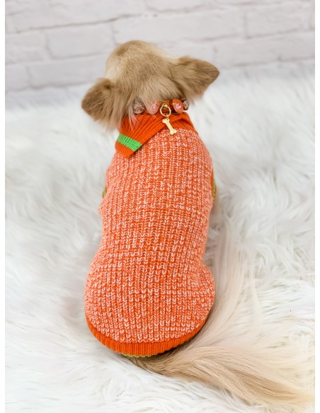 Sporty and Cool Pull Orange