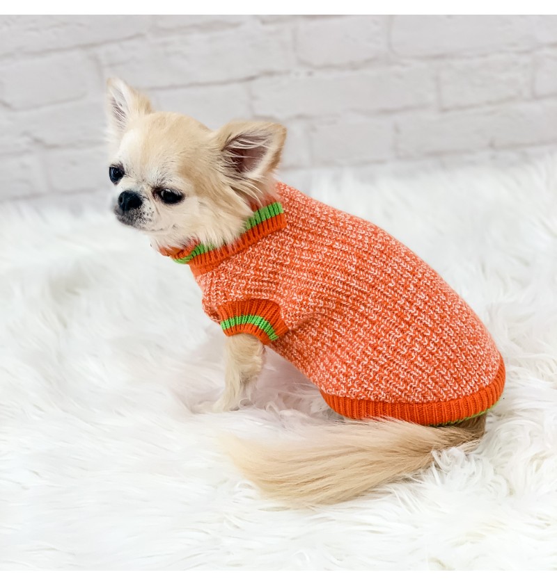 Sporty and Cool Pull Orange