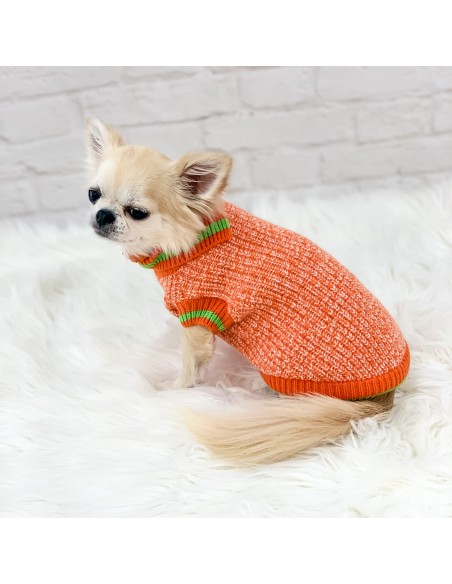 Sporty and Cool Pull Orange