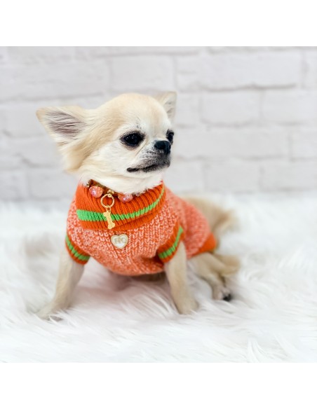 Sporty and Cool Pull Orange