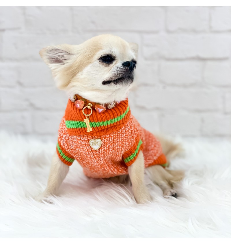 Sporty and Cool Pull Orange