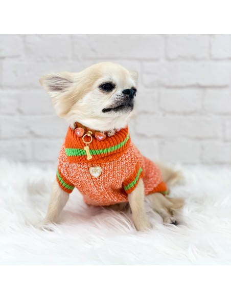 Sporty and Cool Pull Orange