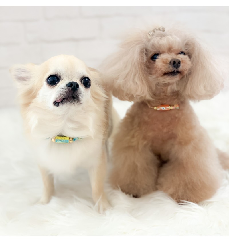 Good Luck Bijoux Turchese