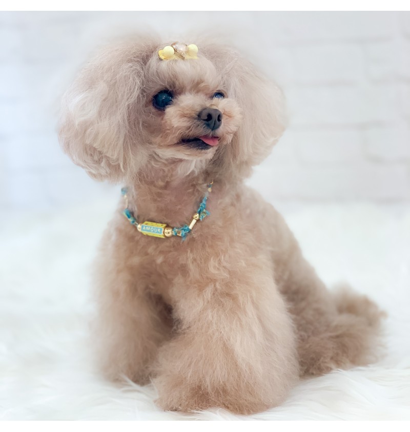 Good Luck Bijoux Turchese