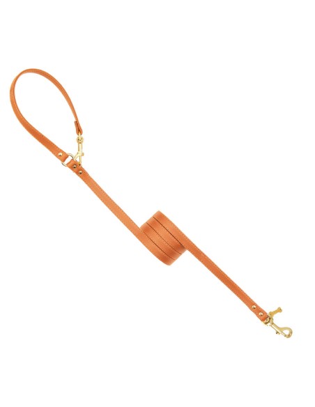 Plain Lead For Happy Hour Orange/Gold