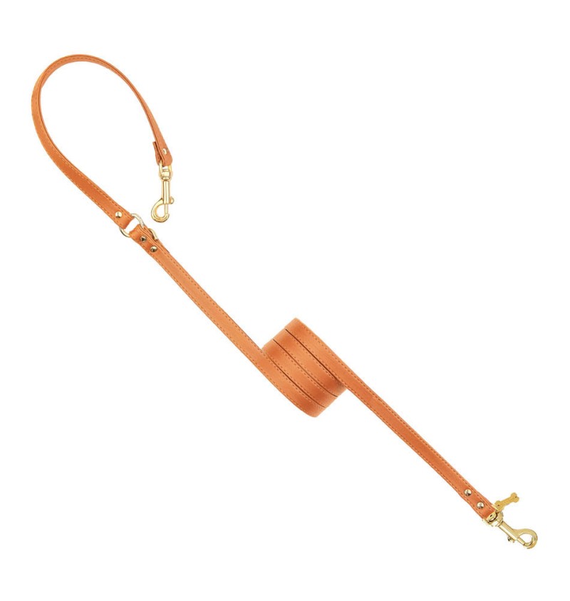 Plain Lead For Happy Hour Orange/Gold