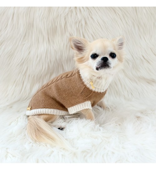for pets only新品スペシャルオーダーカシミア・ミラノ店限定品S