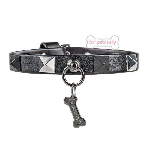 Chic And Stud Collar Nero