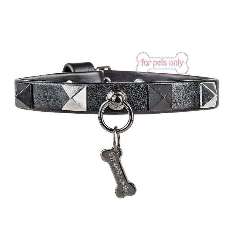 Chic And Stud Collar Black