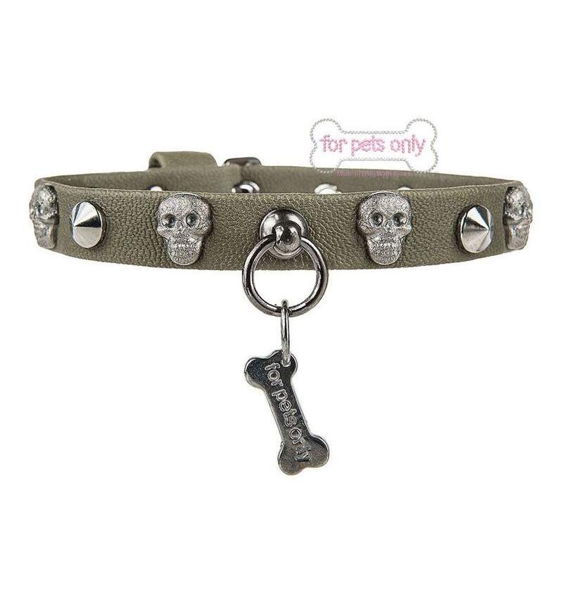 Skull And Stud Collar Military